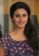 Actress Gayathri Photos