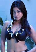 Payal Gosh Latest Photoshot Stills