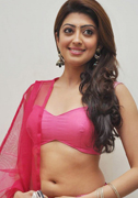 Pranitha Subhash