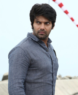 Arya All Set To Debut In Sandalwood!!