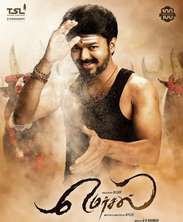 Journalist Harassed For Criticising Vijay's Movie