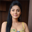 Kalai Vendhan Movie Audio Launch