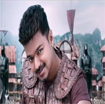 Puli